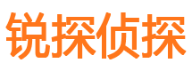 临渭市私家侦探